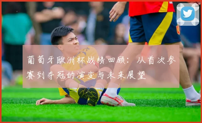 葡萄牙欧洲杯战绩回顾：从首次参赛到夺冠的演变与未来展望